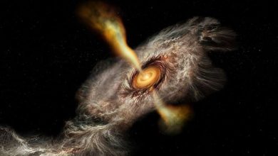 Photo of Astronomers solve long-standing mystery of massive star formation using interstellar ammonia