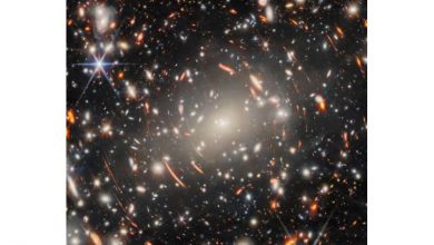 Photo of Webb telescope captures deep view of ancient galaxies