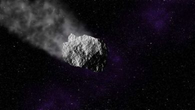 Photo of What are near-Earth asteroids made of?