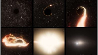 Photo of Hubble pinpoints roaming massive black hole