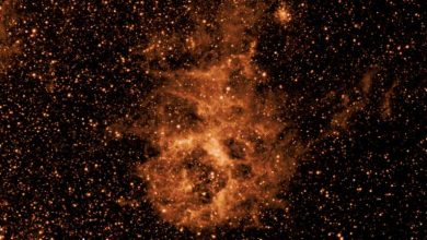 Photo of SPHEREx space telescope begins capturing entire sky