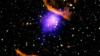Photo of Record-breaking cosmic structure discovered in colossal galaxy cluster