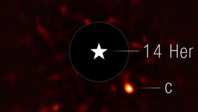 Photo of Webb telescope images frigid exoplanet in strange orbit