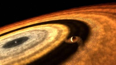 Photo of Webb reveals the origin of the ultra-hot exoplanet WASP-121b