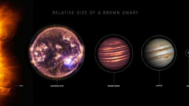 Photo of Dark matter could create dark dwarfs at the center of the Milky Way