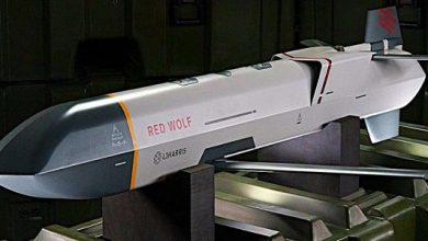 Photo of L3Harris unveils Wolf-series light cruise missiles
