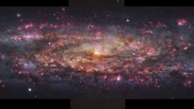 Photo of This photo of the nearby Sculptor galaxy spans 65,000 light years