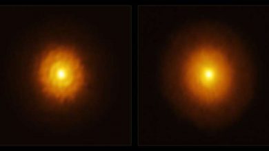 Photo of Astronomers find a giant hiding in the ‘fog’ around a young star
