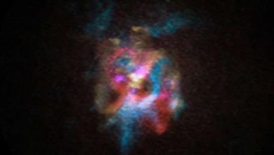 Photo of Supergiant star’s gigantic bubble surprises scientists
