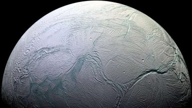 Photo of Is there life on Saturn’s moon?