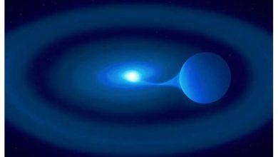 Photo of This star is consuming its companion and could explode brilliantly