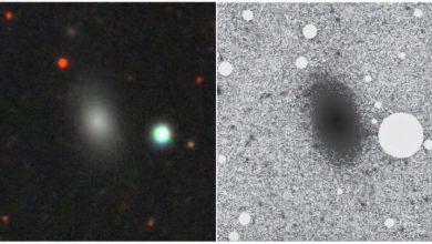 Photo of New isolated early-type dwarf galaxy discovered
