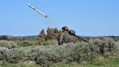 Photo of Sweden buys Polish-made Piorun air defense systems