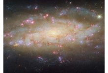 Photo of Hubble spies galaxy with much to see