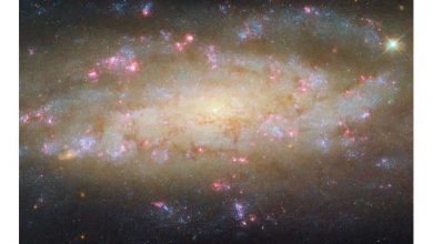 Photo of Hubble spies galaxy with much to see
