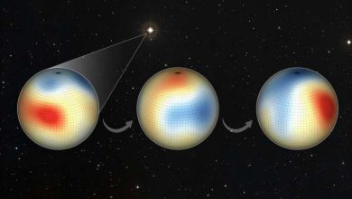 Photo of Young sunlike star reveals rapid two-year magnetic cycle