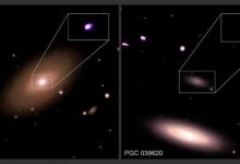 Photo of Small galaxies may buck the black hole trend, Chandra finds