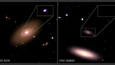 Photo of Small galaxies may buck the black hole trend, Chandra finds