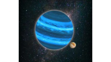 Photo of Can life begin on a moon without a sun?