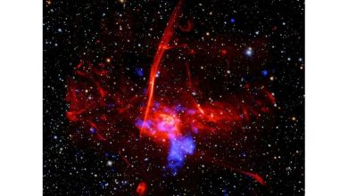 Photo of NASA’s Chandra discovers possible supernova remnant in galactic center