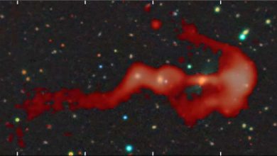 Photo of Bow-and-arrow-shaped radio galaxy discovered by citizen scientist