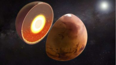 Photo of Thermal anomaly discovered below Mars’ south pole