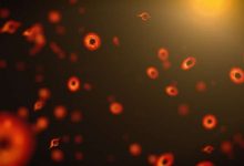 Photo of Tiny ancient black holes may live in a five-dimensional world
