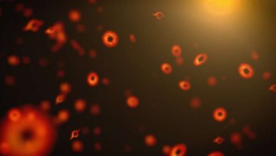 Photo of Tiny ancient black holes may live in a five-dimensional world