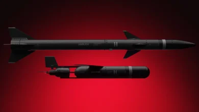 Photo of German firm develops low-cost interceptor to stop mass drone attacks